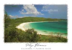 Dulces Tipicos Poster Playa Flamenco Culebra Puerto Rico