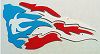 Puerto Rican Flag Special Design, Flag